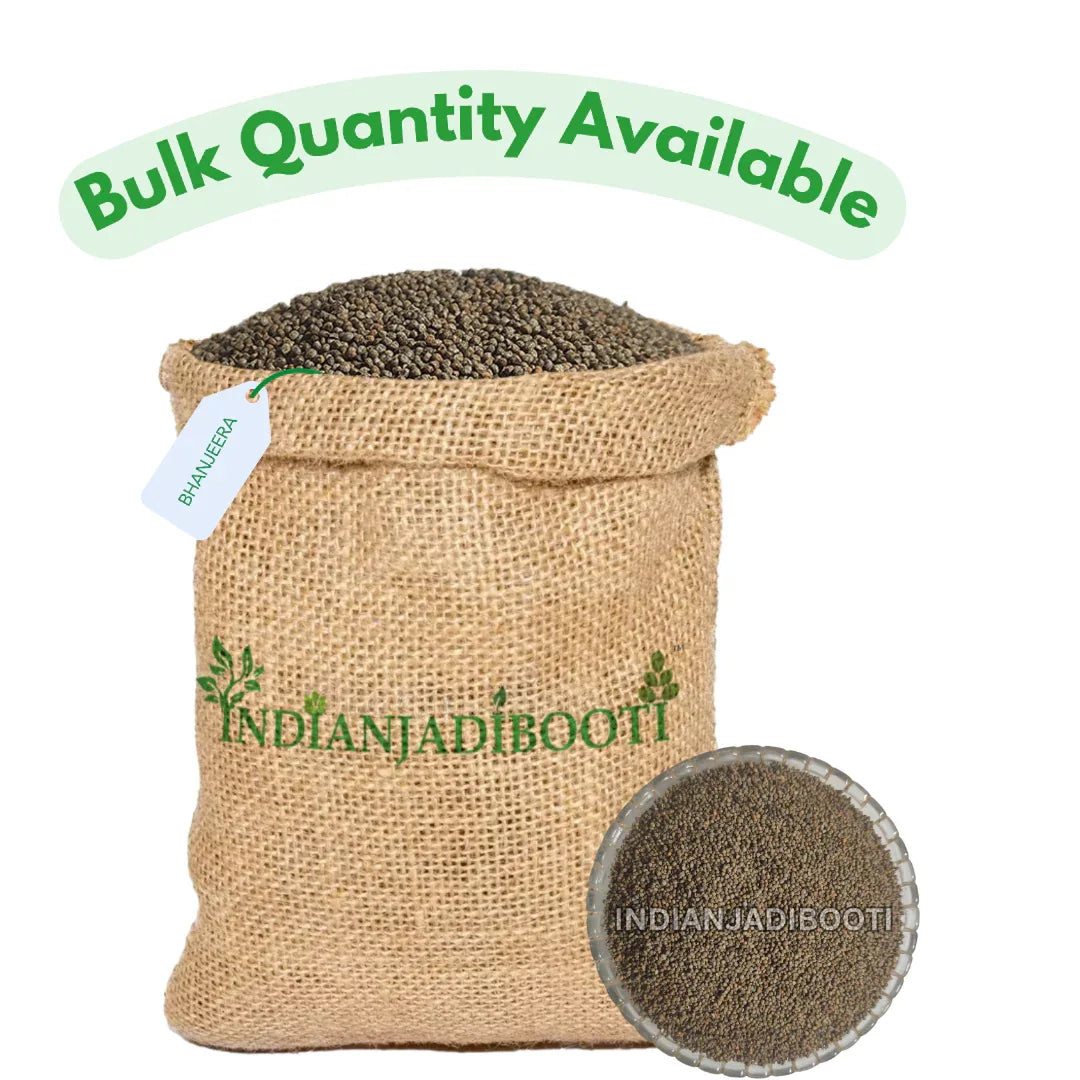 Bhanjeera (Beej) - Perilla (Seeds) - Bhangjeera - Bhang Dana (Pahadi) - Perilla Frutescens - Bhanjira by IndianJadiBooti - indianjadibooti