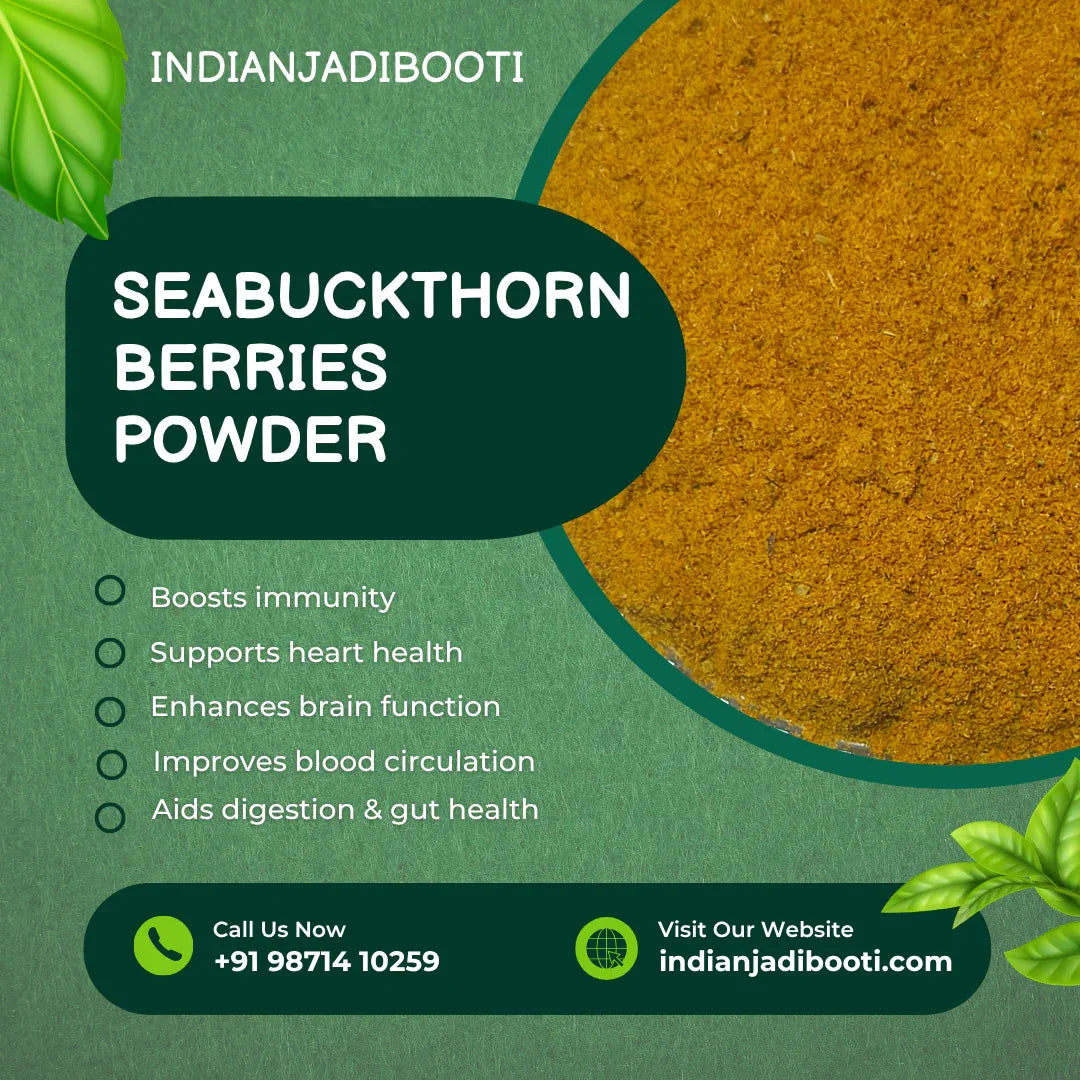 Sea Buckthorn (Berries) (Grated) (Powder) - Hippophae Rhamnoides - Nourishes Skin - Rich in Fatty Acids by IndianJadiBooti - indianjadibooti