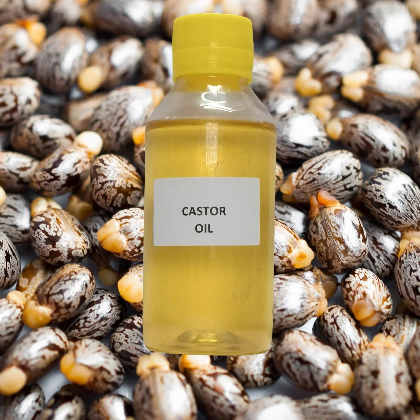 Castor (Cold Pressed) (Oil) - Erandi (Tel) - Ricinus Communis (Tailam) by IndianJadiBooti - indianjadibooti