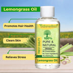 Lemon Grass Edible (Essential) (Oil) - Jarakush (Tel) - Fever Grass - Cymbopogon Citratus by IndianJadiBooti - indianjadibooti