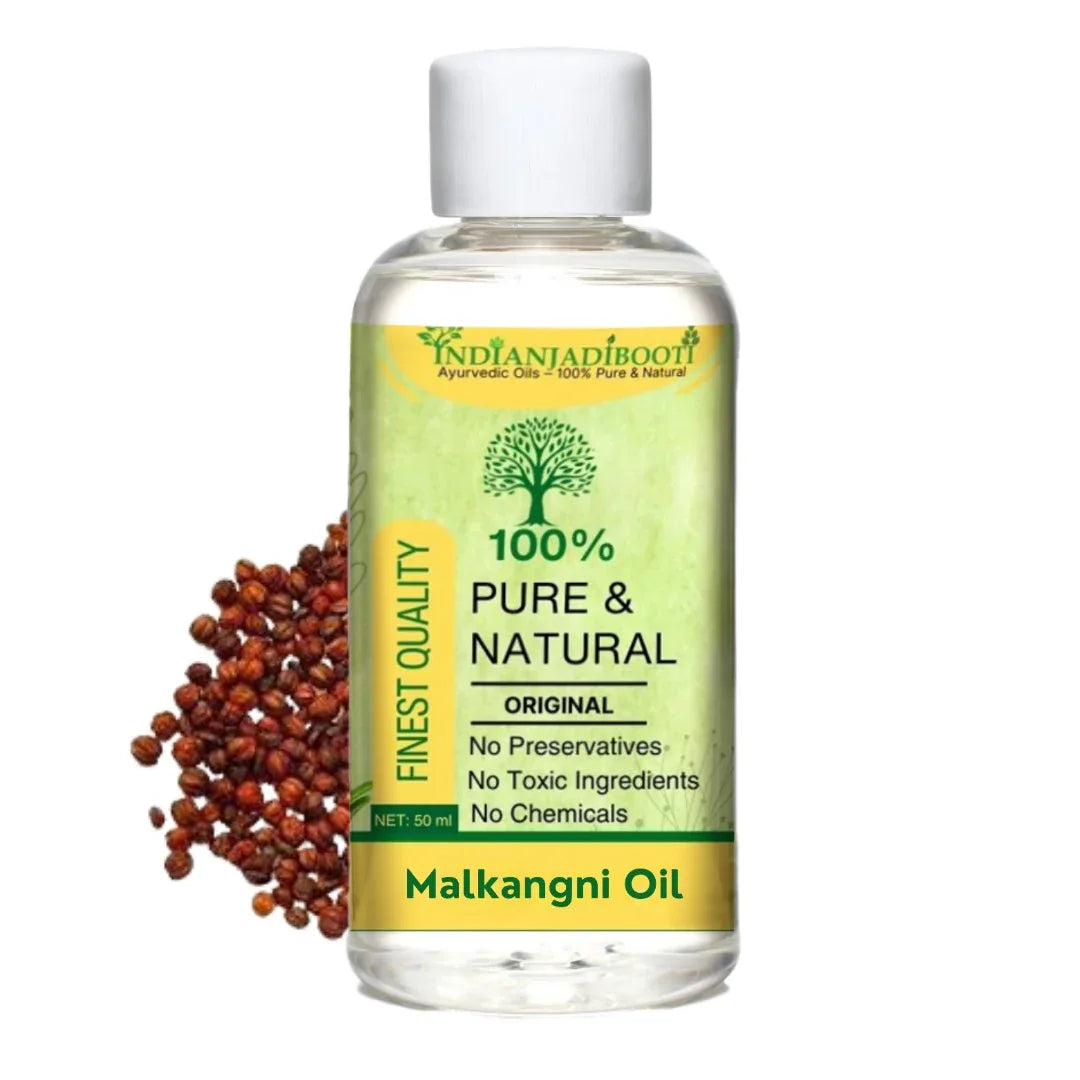 Malkangani Edible (Cold Pressed) (Oil) - Jyotishmati (Tel) - Celastrus Paniculatus - (Natural Therapeutic Grade) by IndianJadiBooti - indianjadibooti Main image