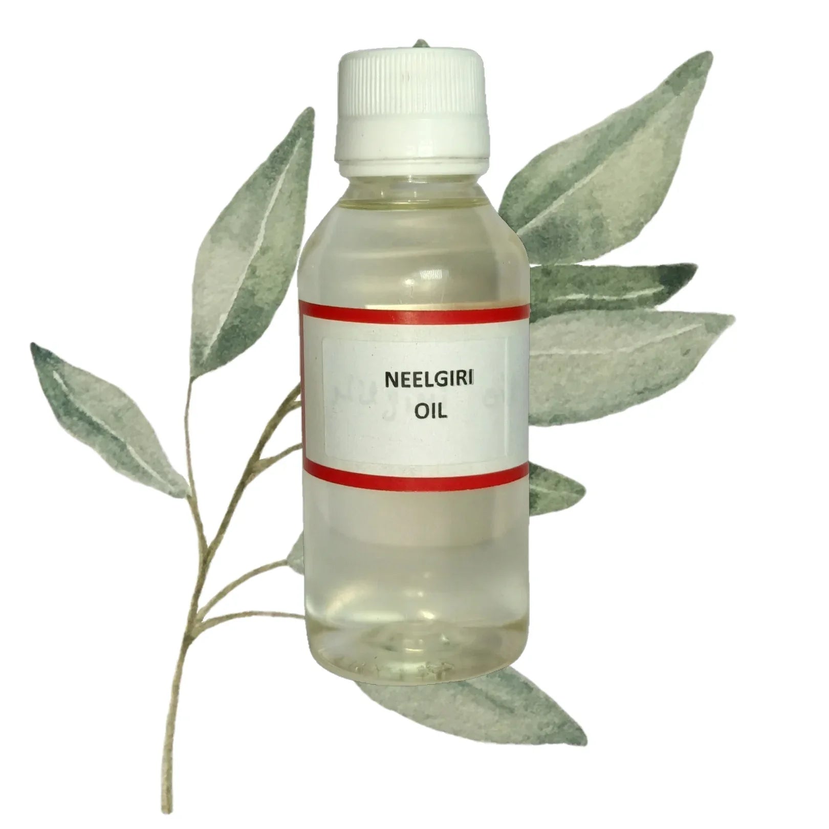 Nilgiri Edible (Essential) (Oil) - Eucalyptus (Tel) (Tailam) - Eucalyptus Globulus by IndianJadiBooti - indianjadibooti