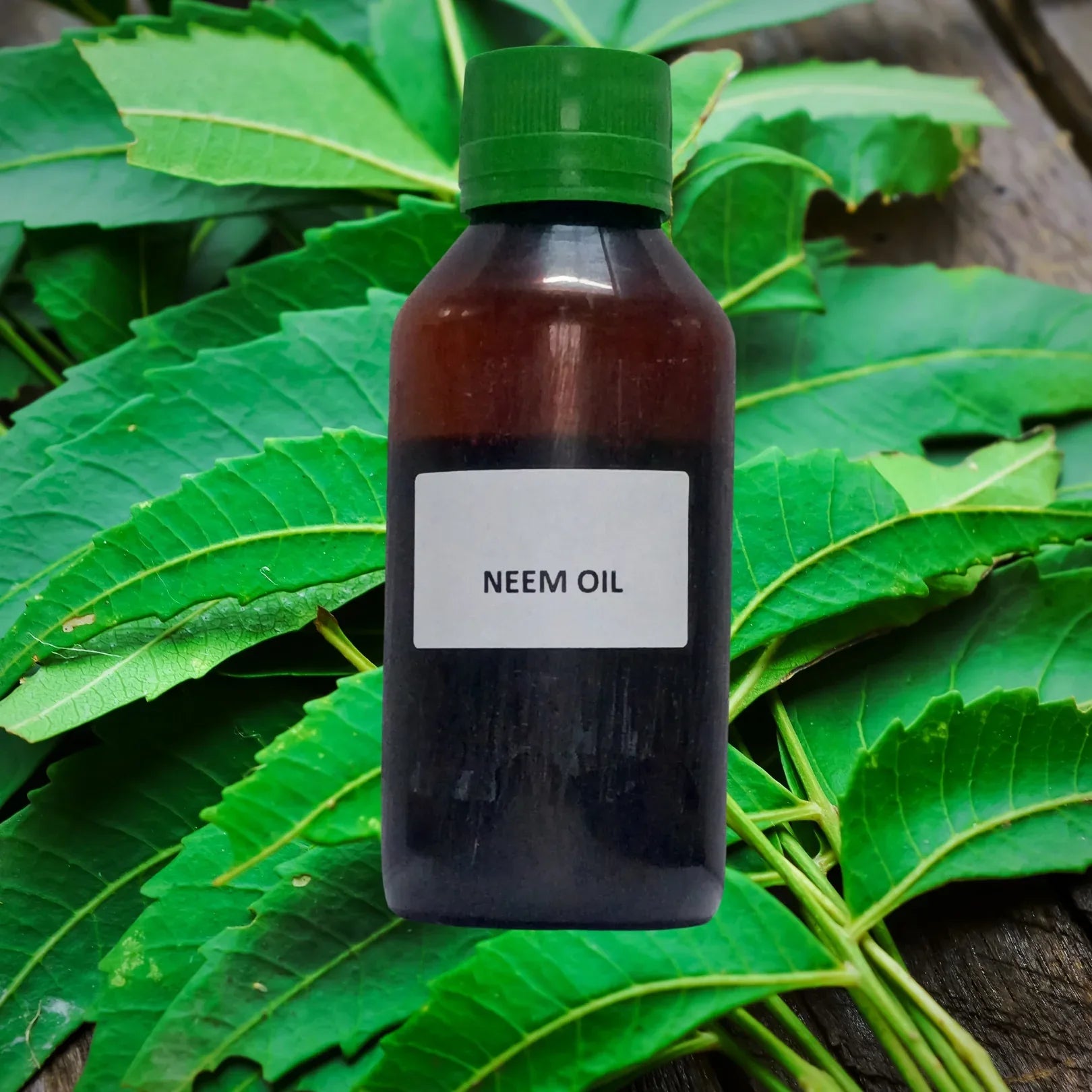 Neem Edible (Cold Pressed) (Oil) - Neem (Tel) (Tailam) - Azadirachta Indica - Nimbaka by IndianJadiBooti - indianjadibooti