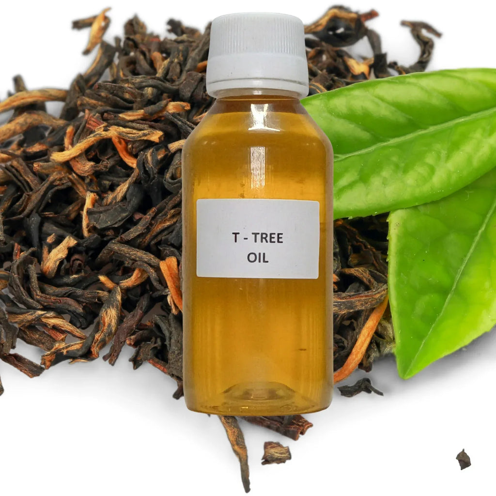 Tea Tree (Essential) (Oil) - Chai Ped (Tel) - Melaleuca (Oil) - Melaleuca Alternifolia by IndianJadiBooti - indianjadibooti