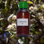 Turpentine (Essential) (Oil) - Tarpin (Tel) - Pinus Palustris by IndianJadiBooti - indianjadibooti